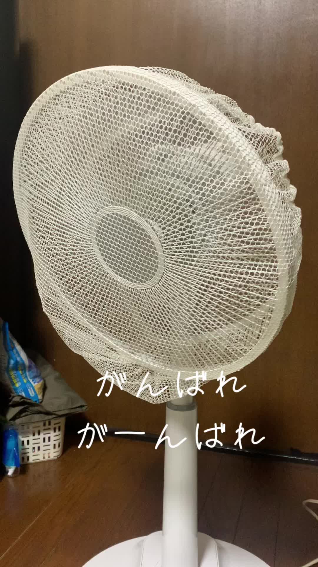 @🦜amaharu🦜