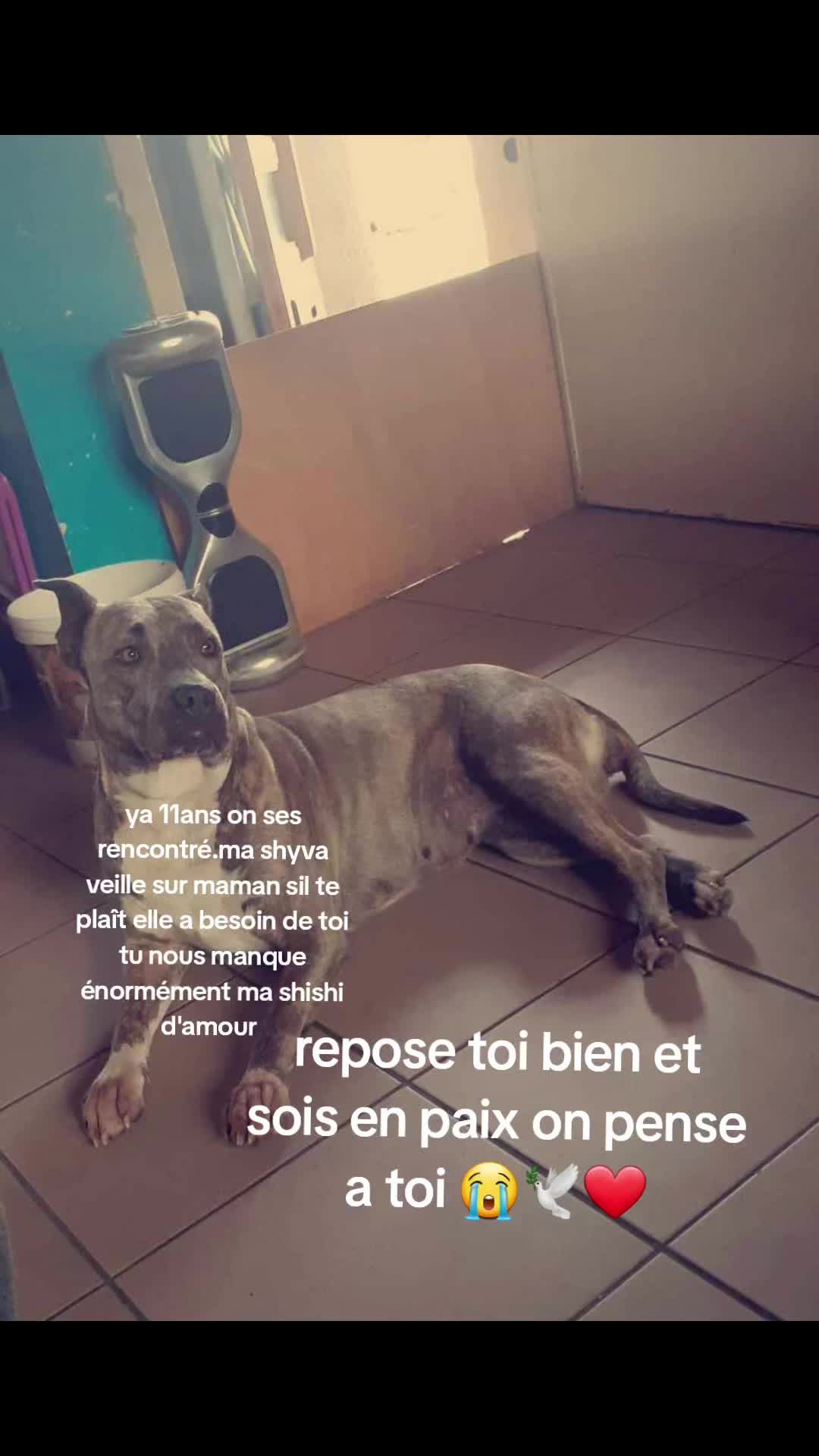 @M🇧🇪🇮🇹🇪🇸