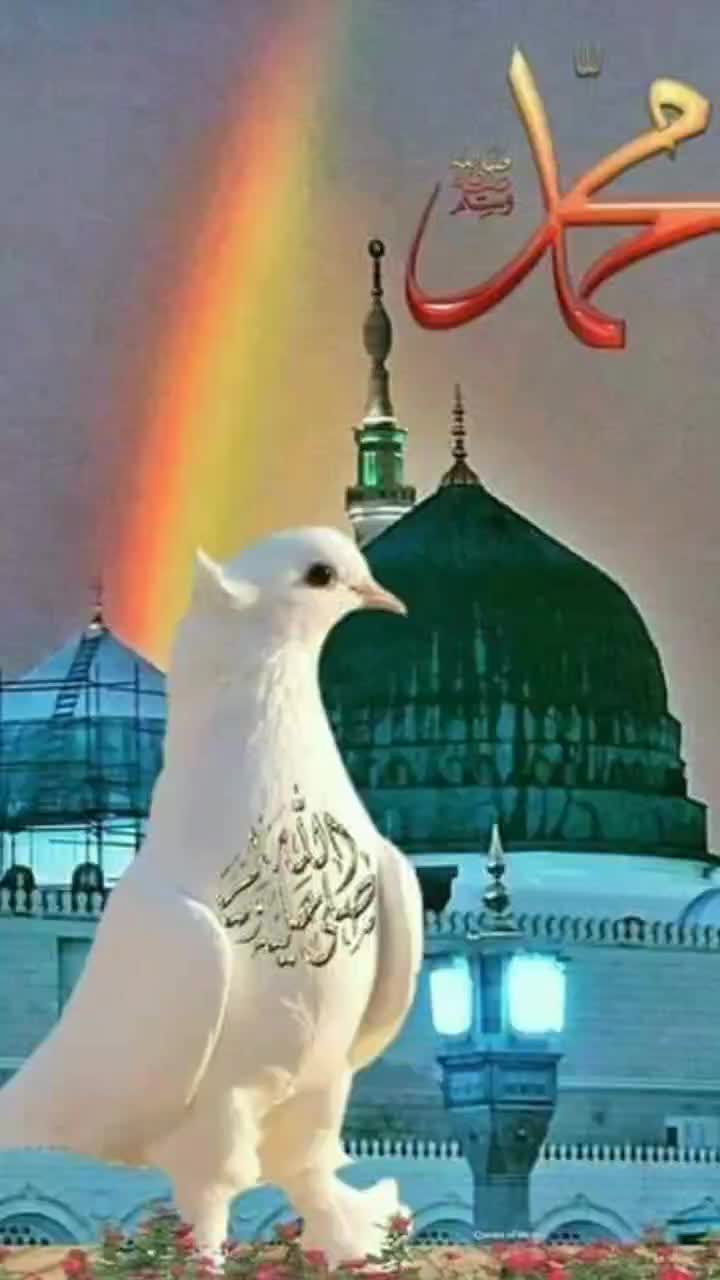 @Arbaz Ali