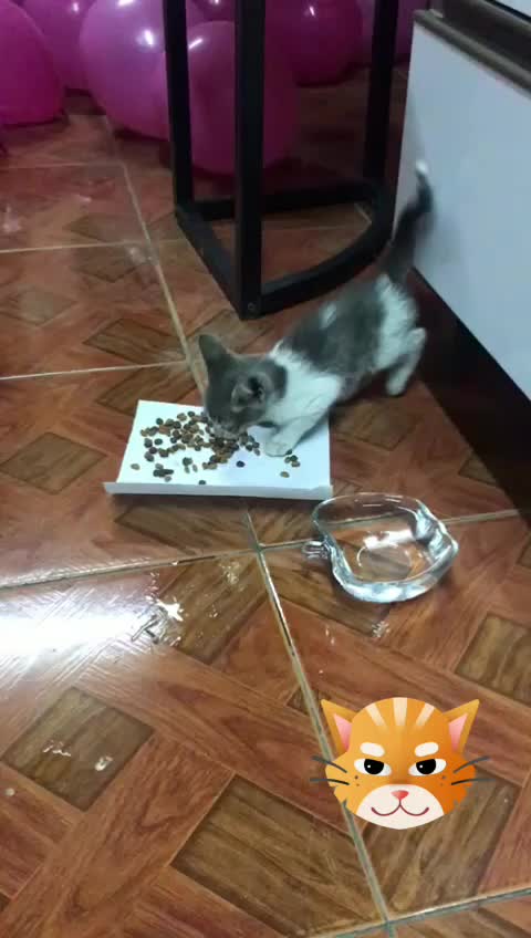 @Evelyn Berrios Lopez