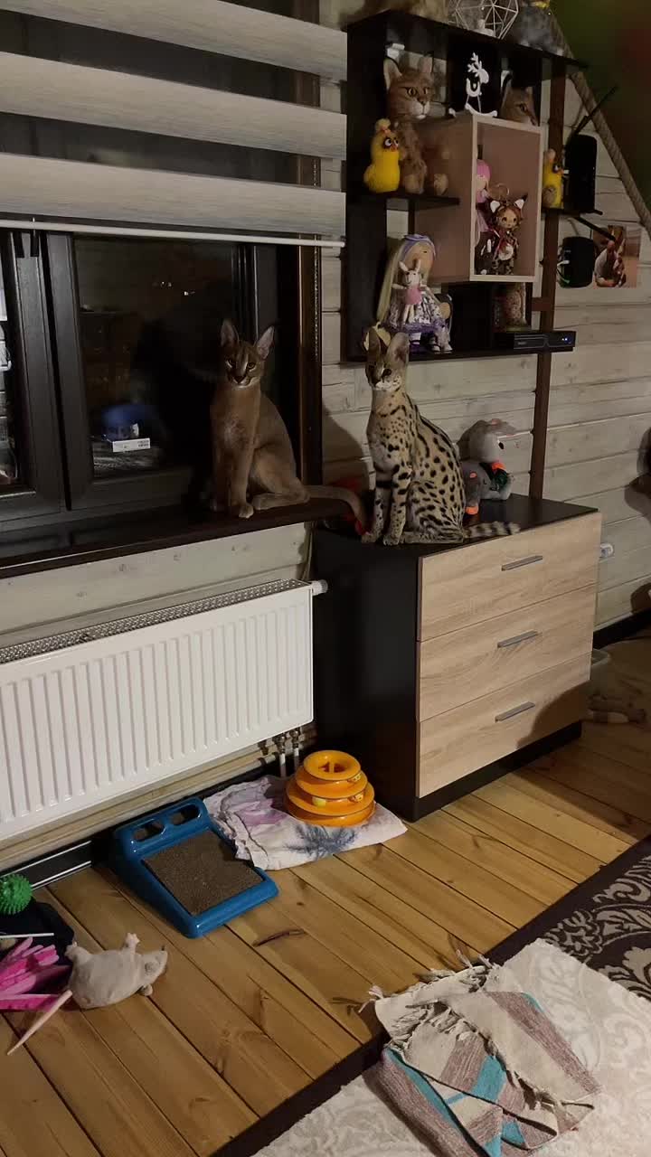 @Анна