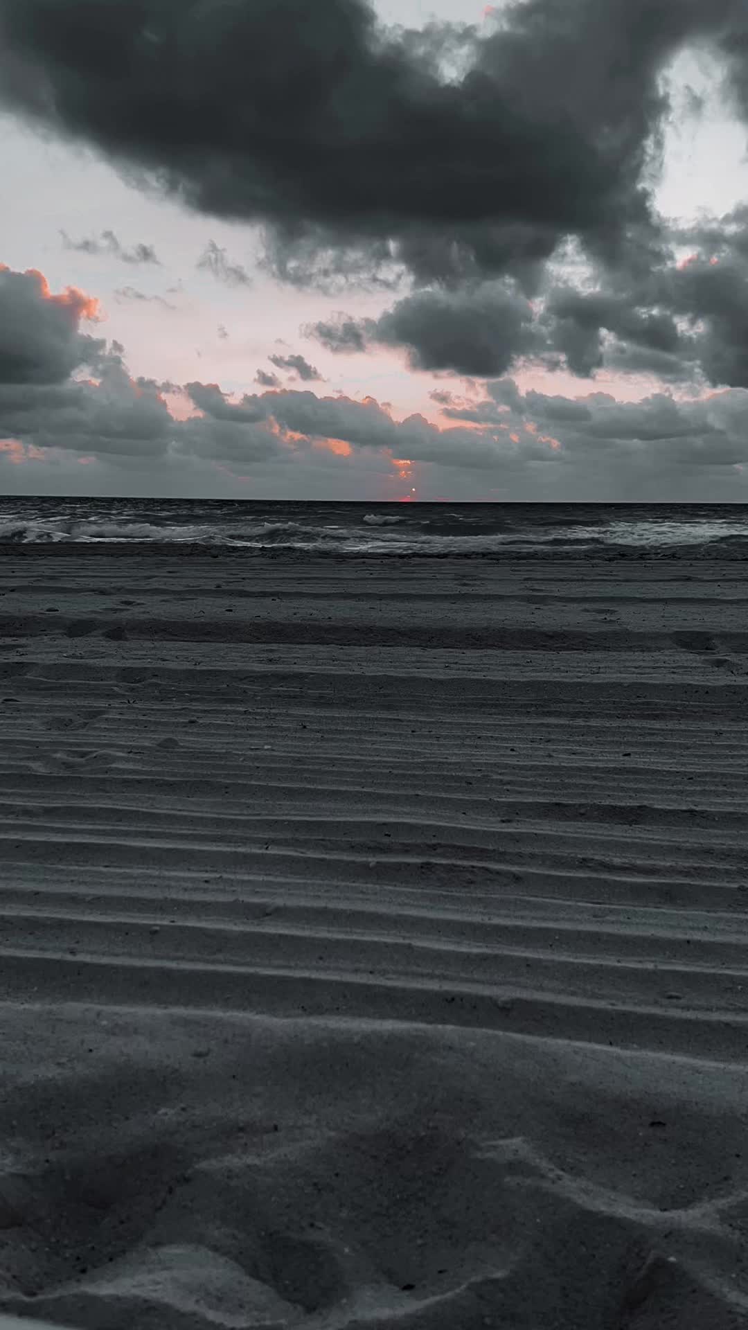 @SarcasmSunrise