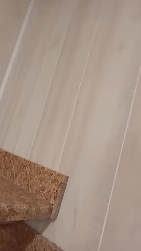 @stardustdennison