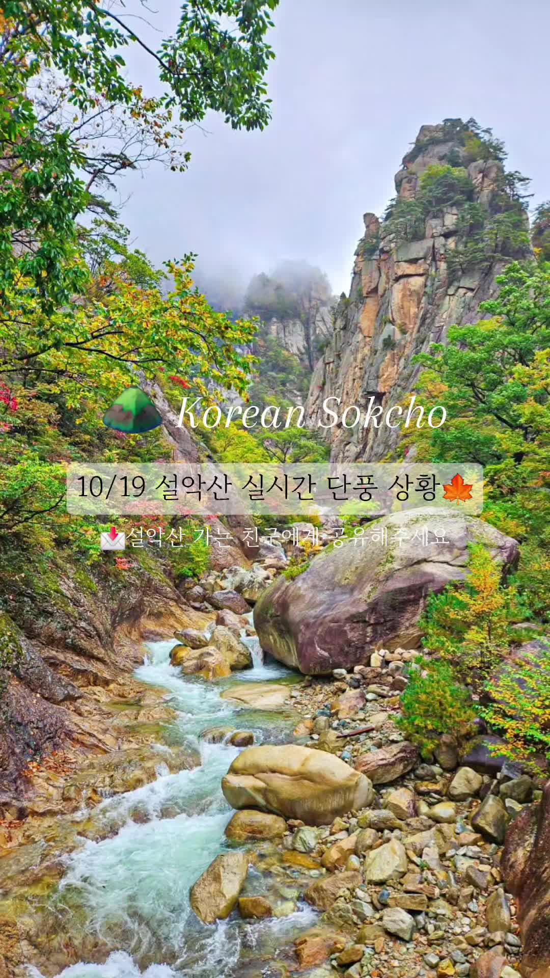 @두콩푸드