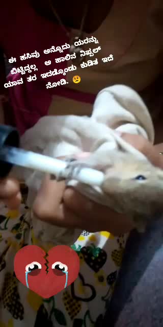 @ಪೋಗರು 💪