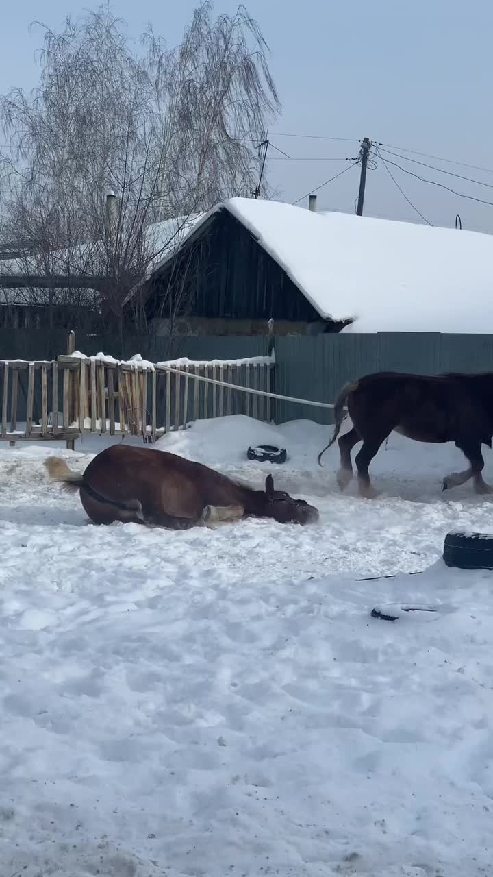 @А_нют_А🤪