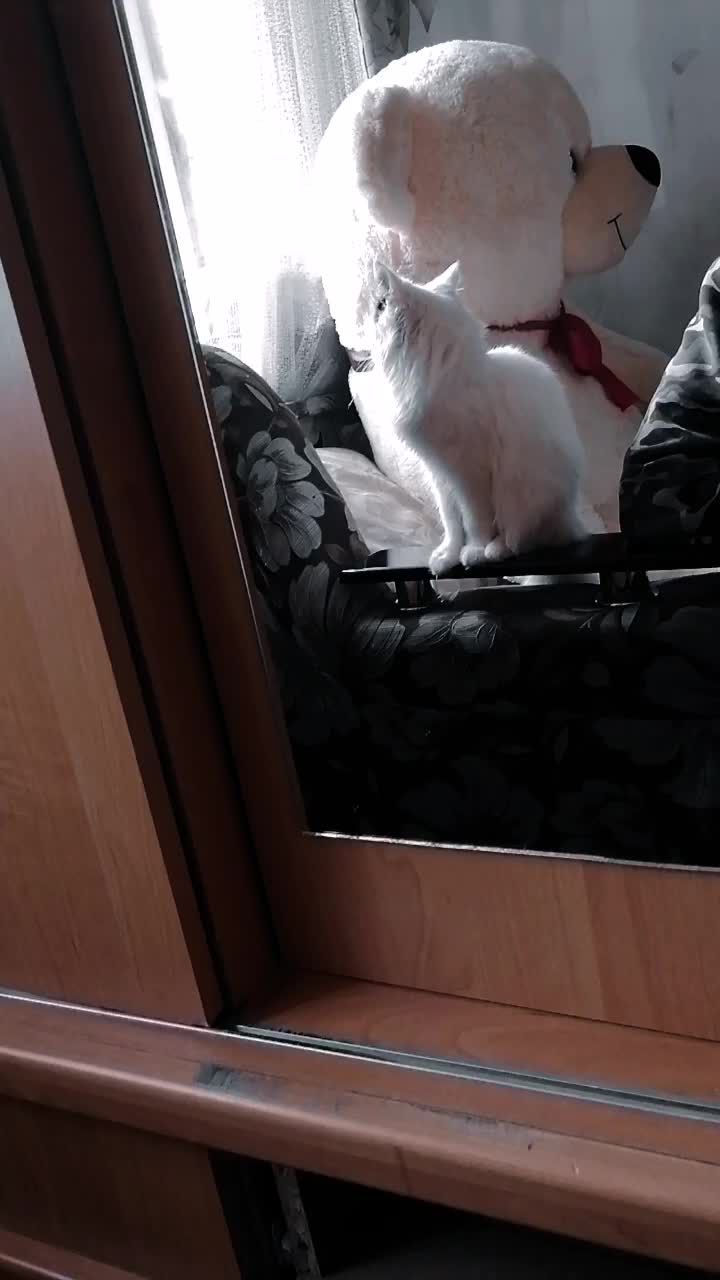 @Максим Кавалёв