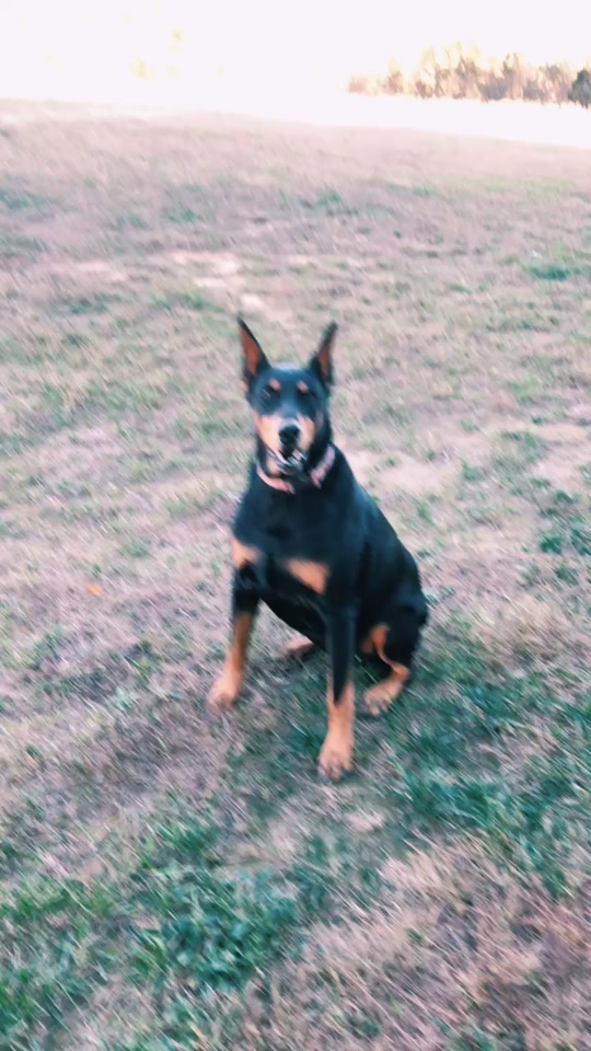 @Nyx♥︎🐶