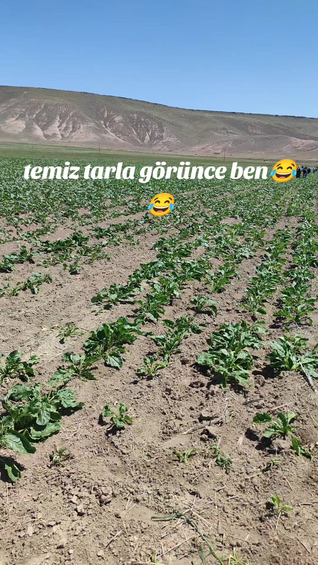 @###__Eyüp_###