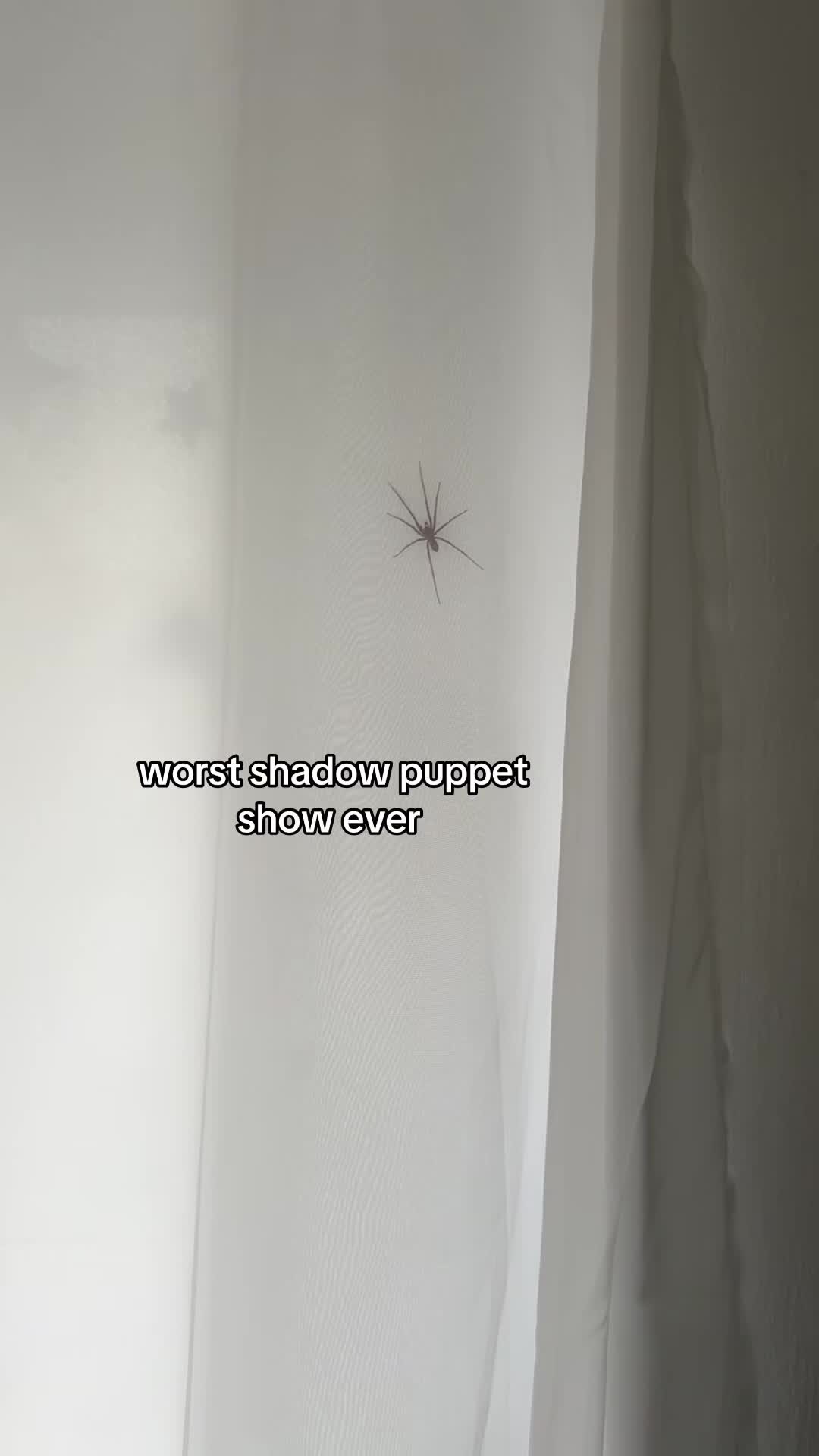 @Sparkleraven