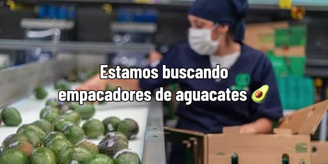 @Lifechanger
