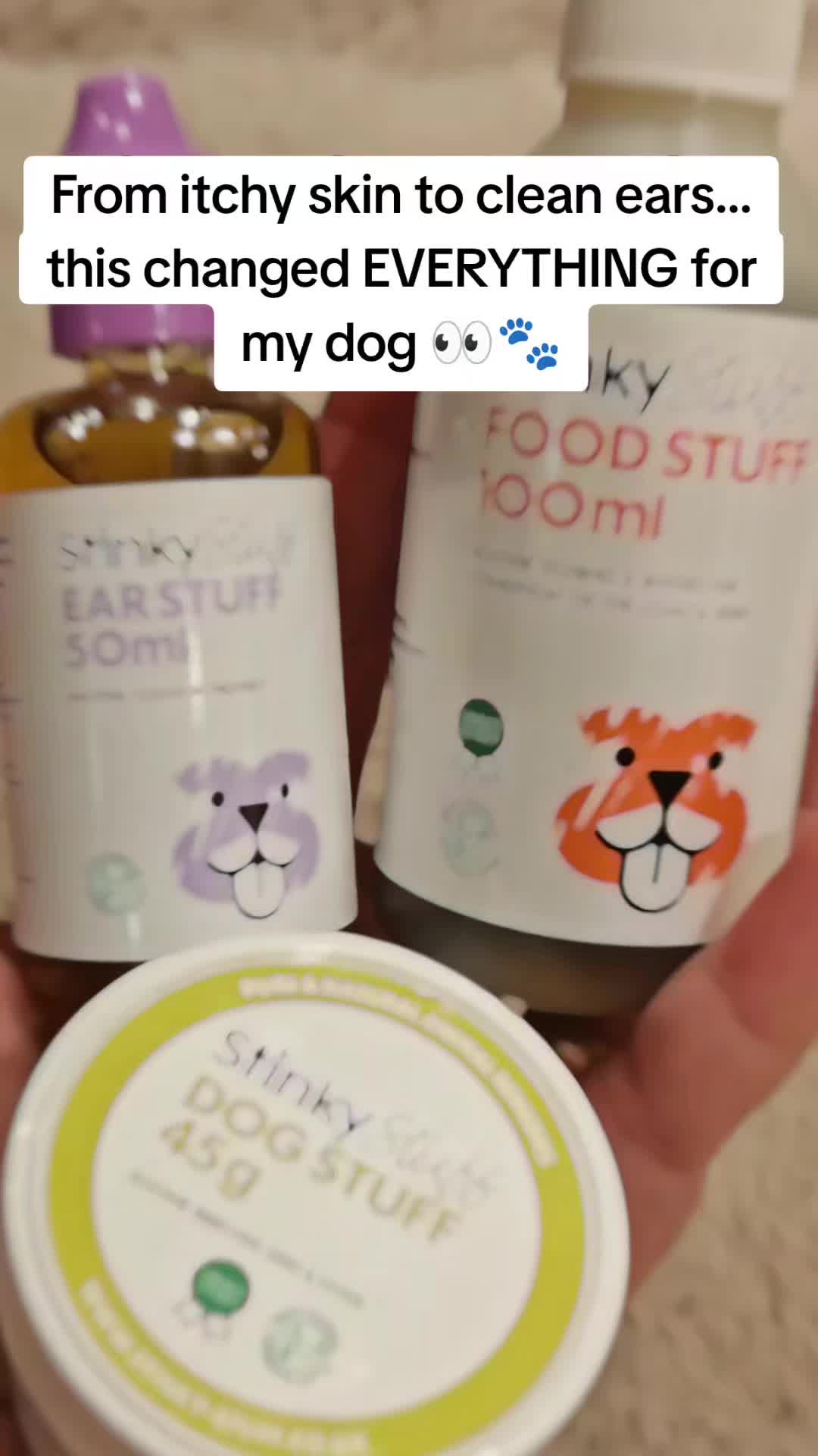 @Sugardoggy & Friends 2