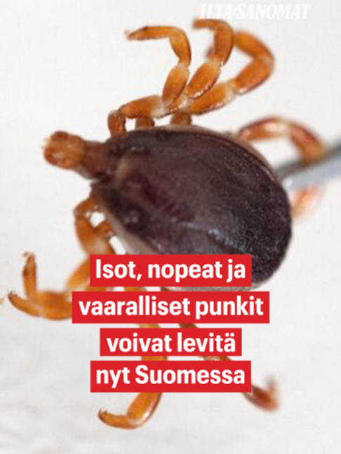 @Ilta-Sanomat