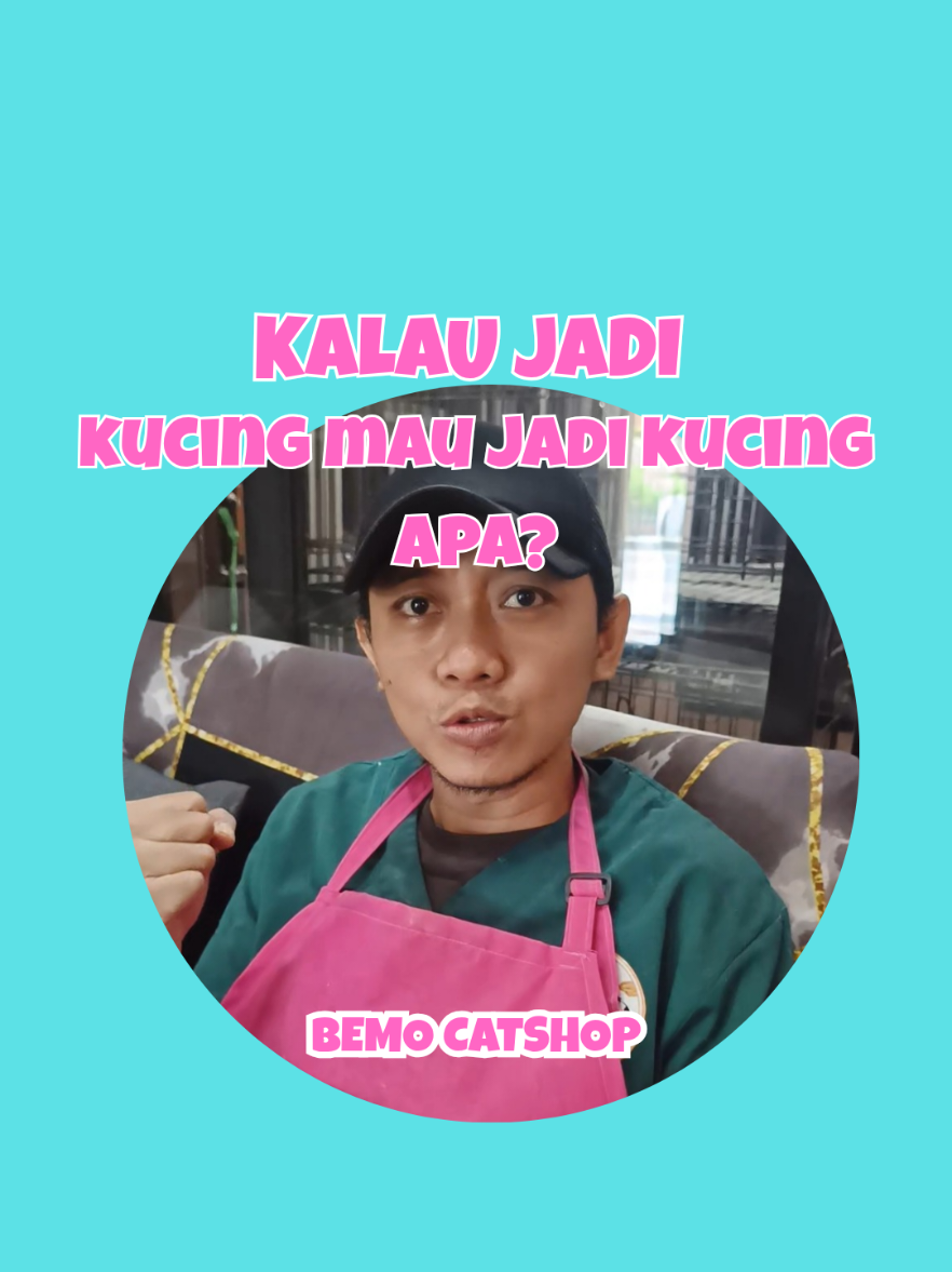 @Bemo Catshop