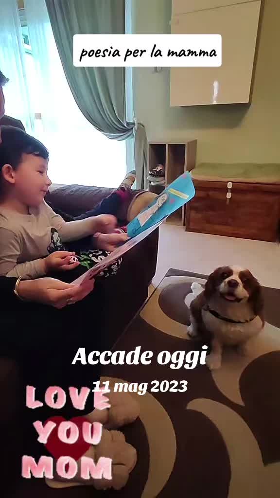 @LucaSuperDaddy