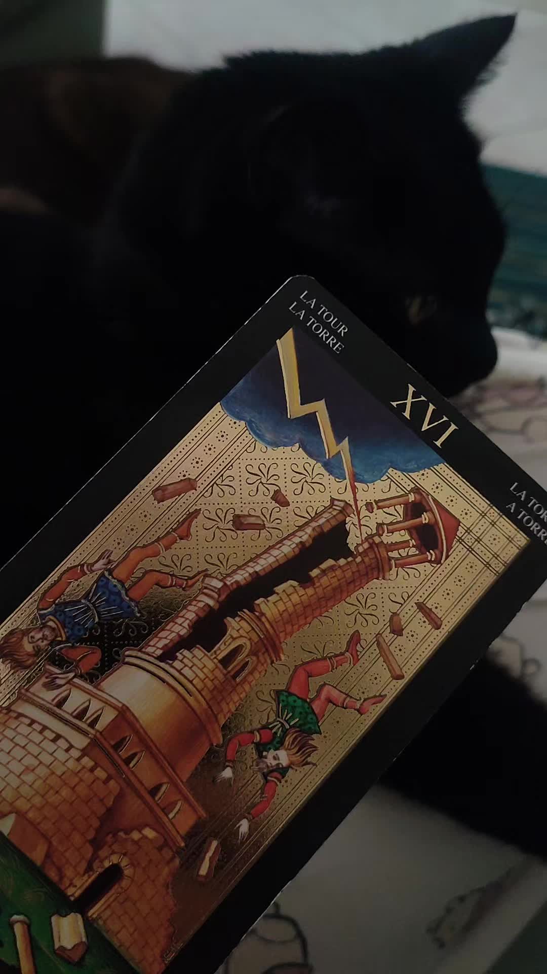 @ᴍᴀʟᴅɪᴛᴀ | ᴅᴀʀᴋ ᴠɪʙᴇꜱ ❤️🔥🌙