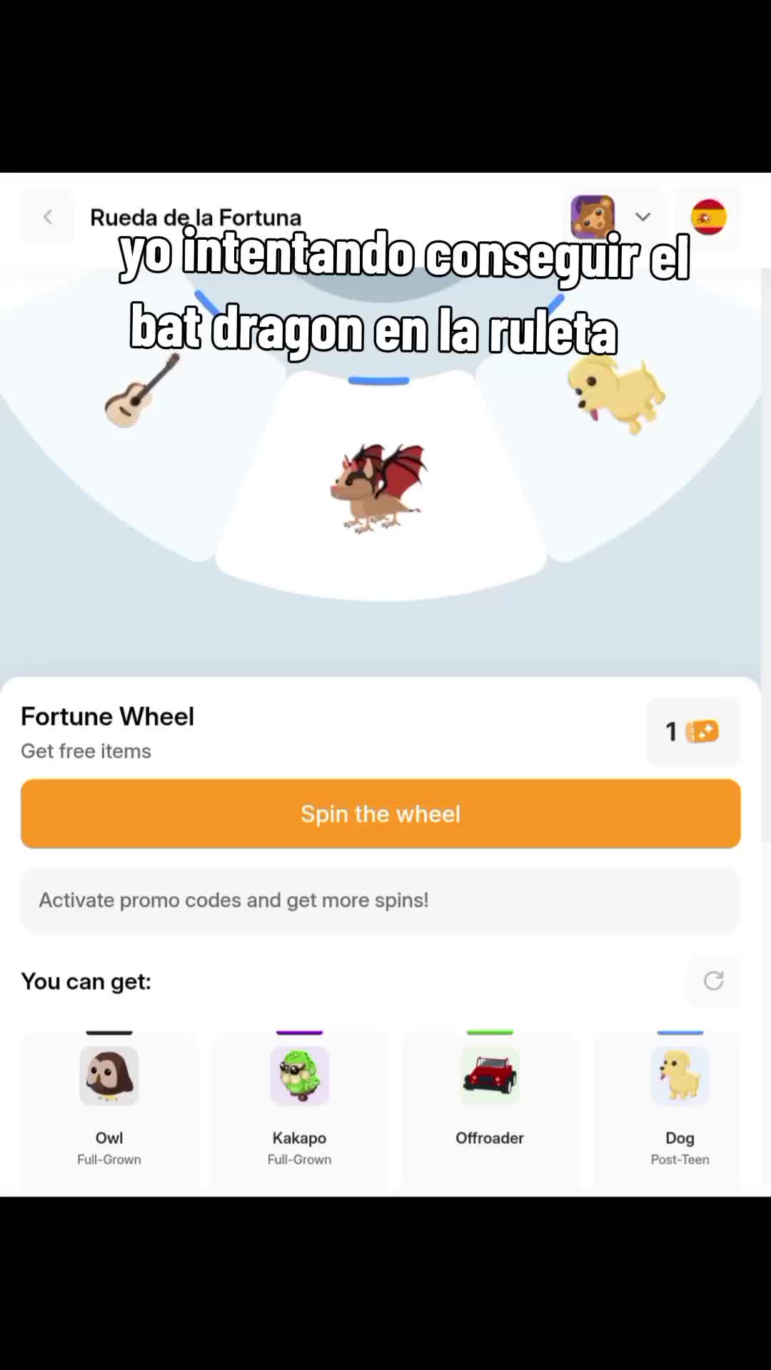 @brochacho