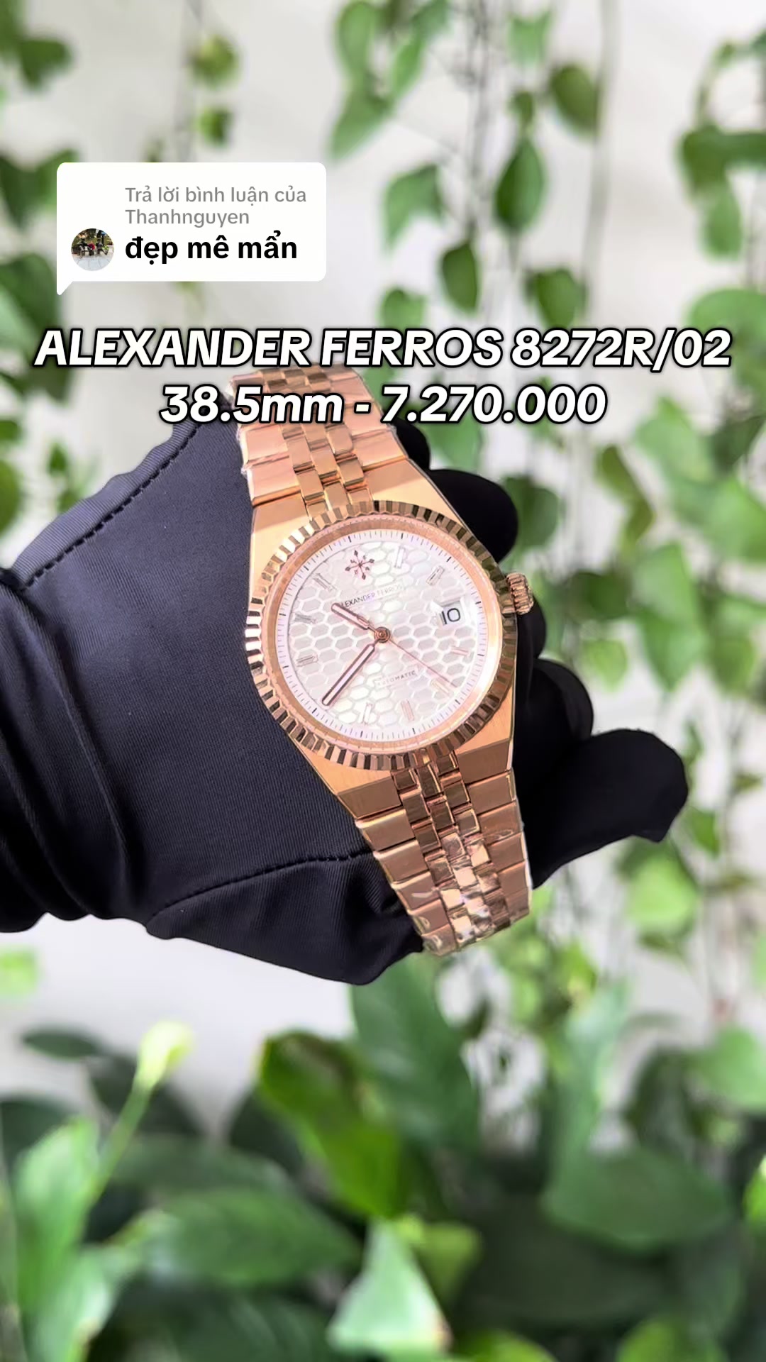 @Alexander Ferros Việt Nam