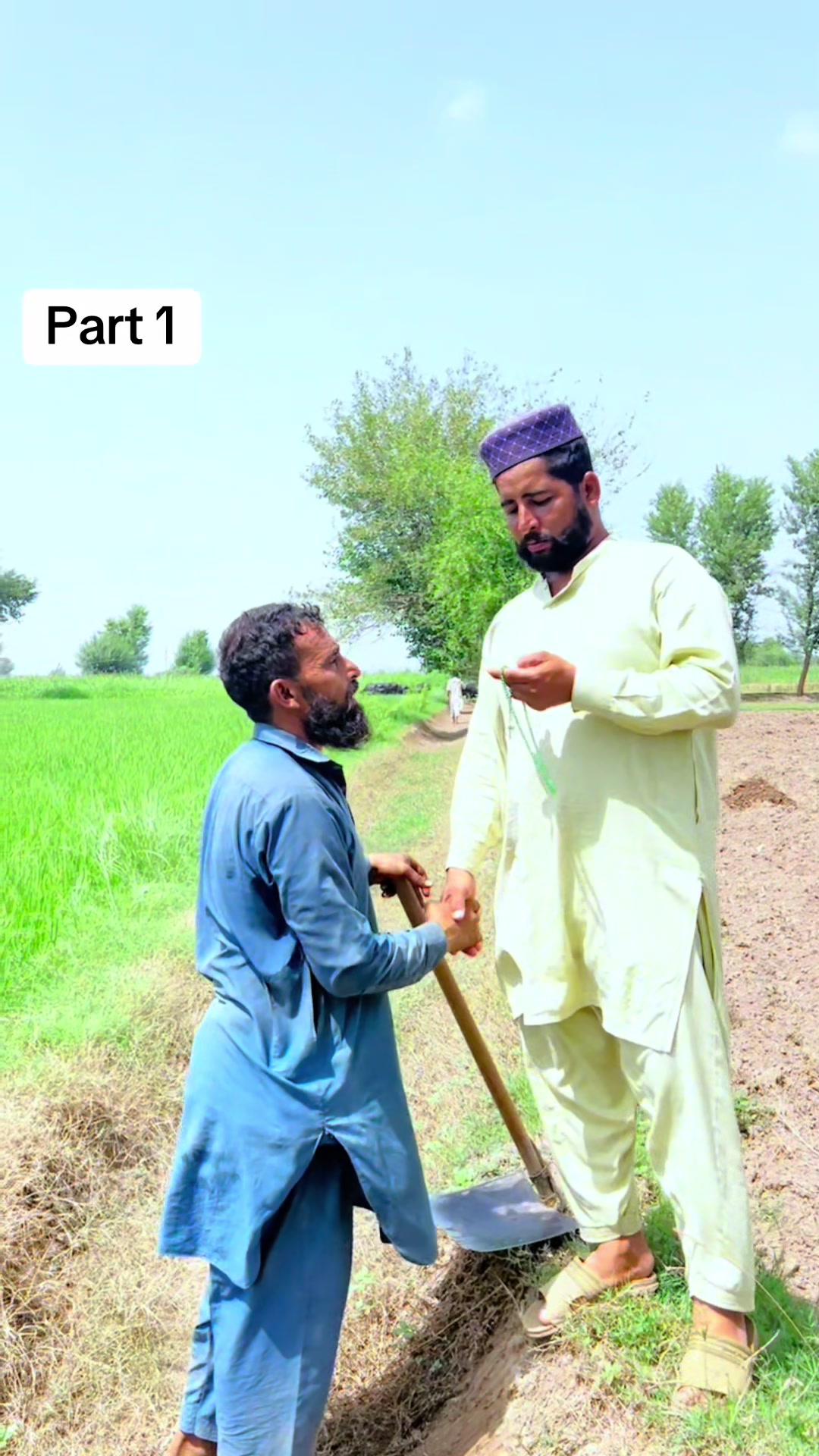 @پینڈو بوائز 378