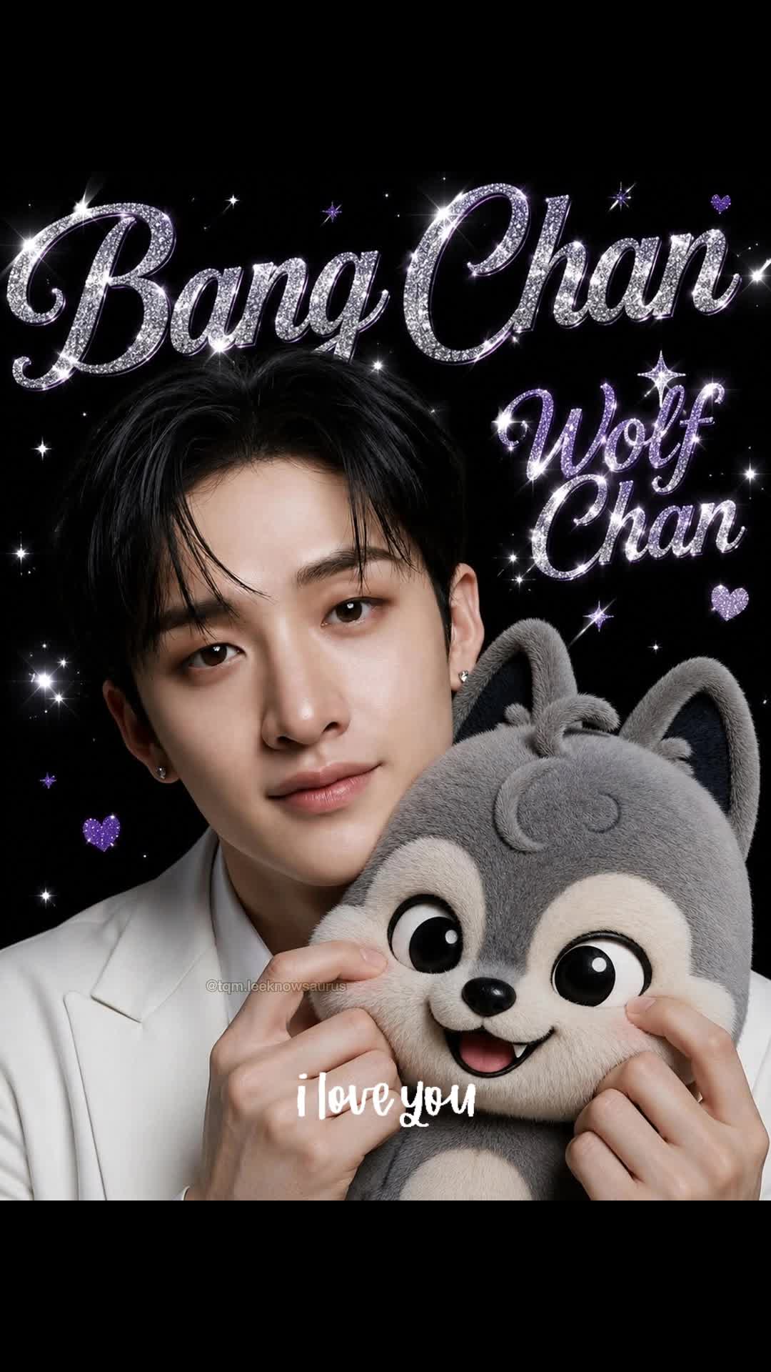 @Straykids Fan