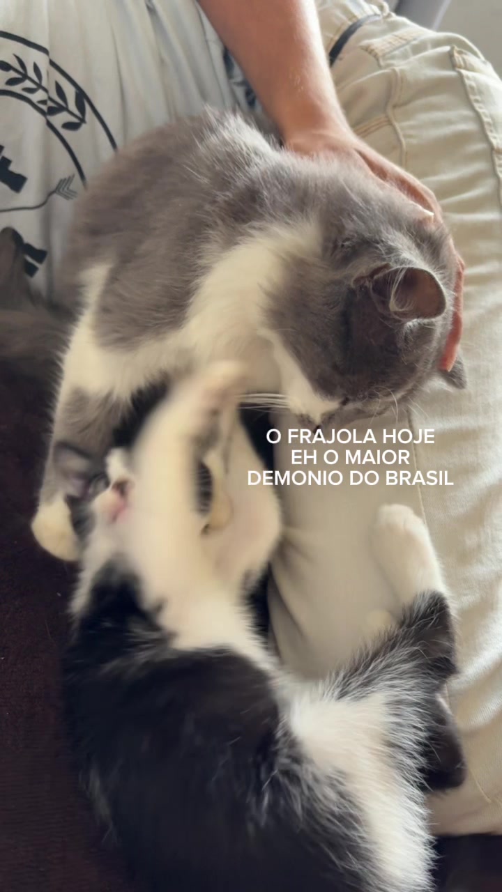 @sushasco