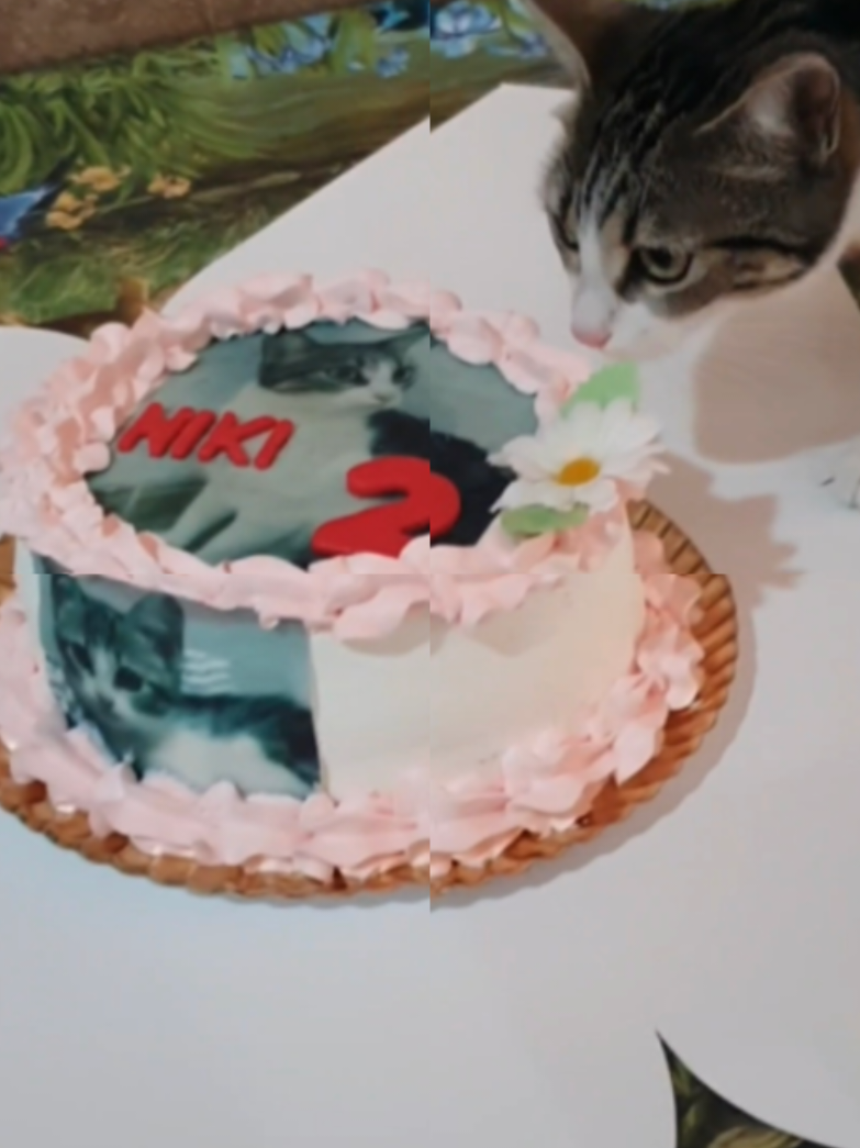@nikii