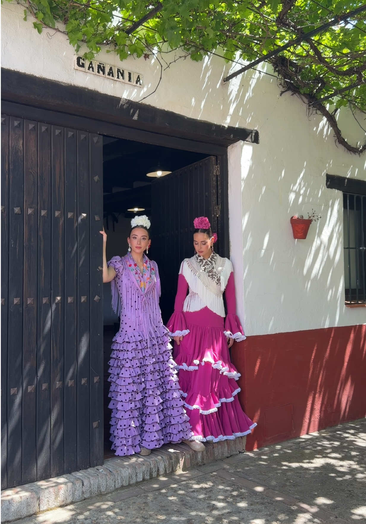 @roal_flamenca