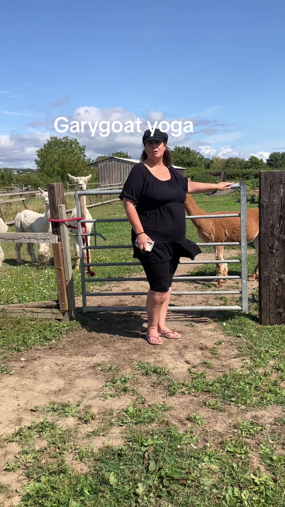 @Willowlanealpacas
