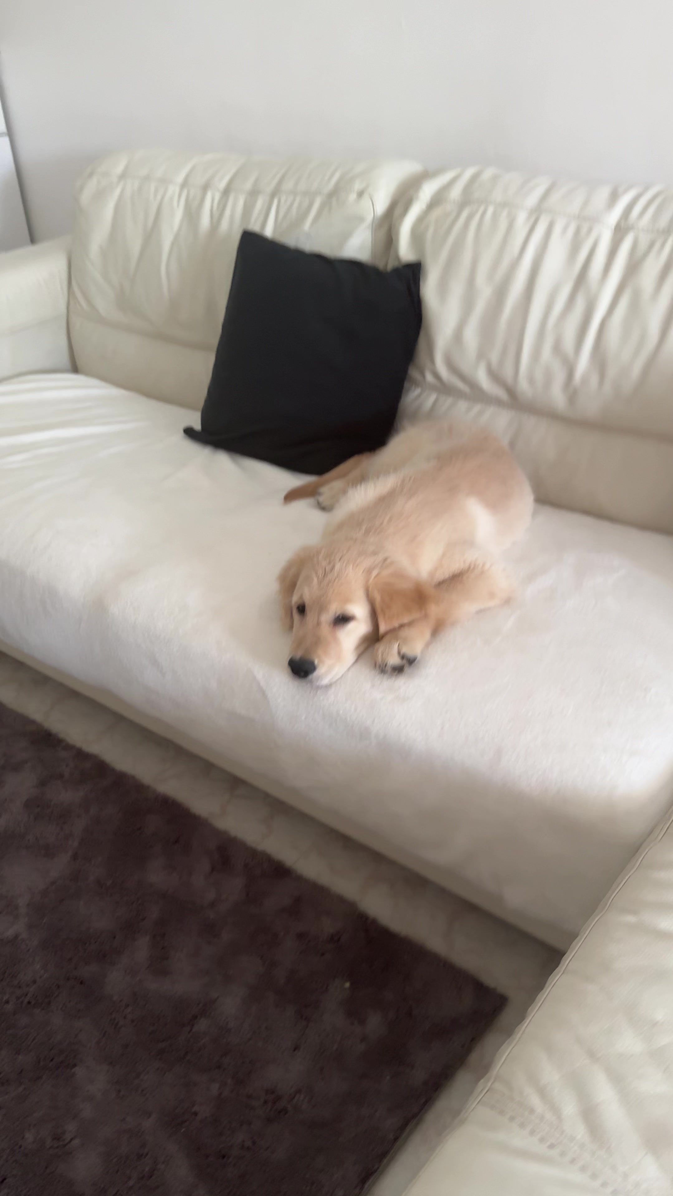 @Olivia