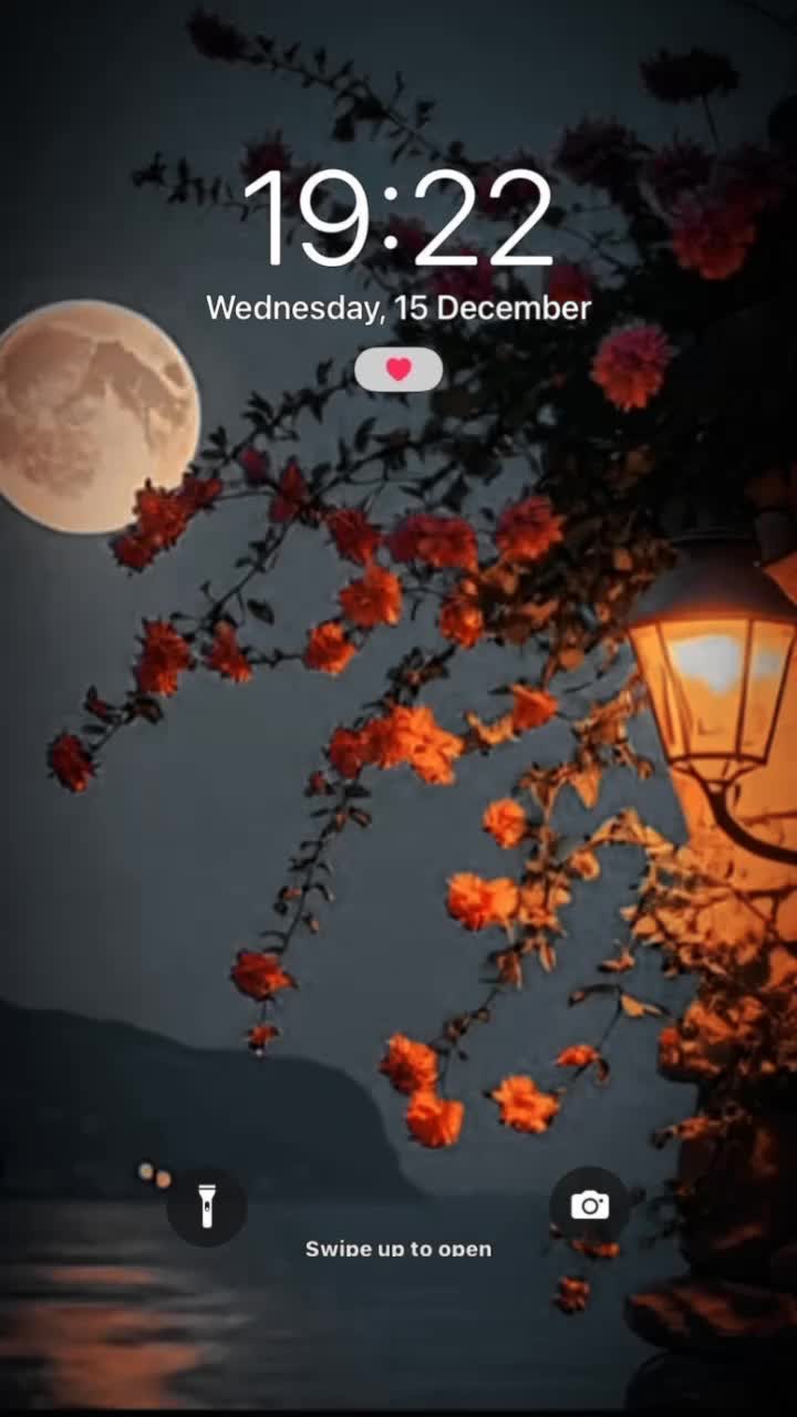 @M.Shoaib444