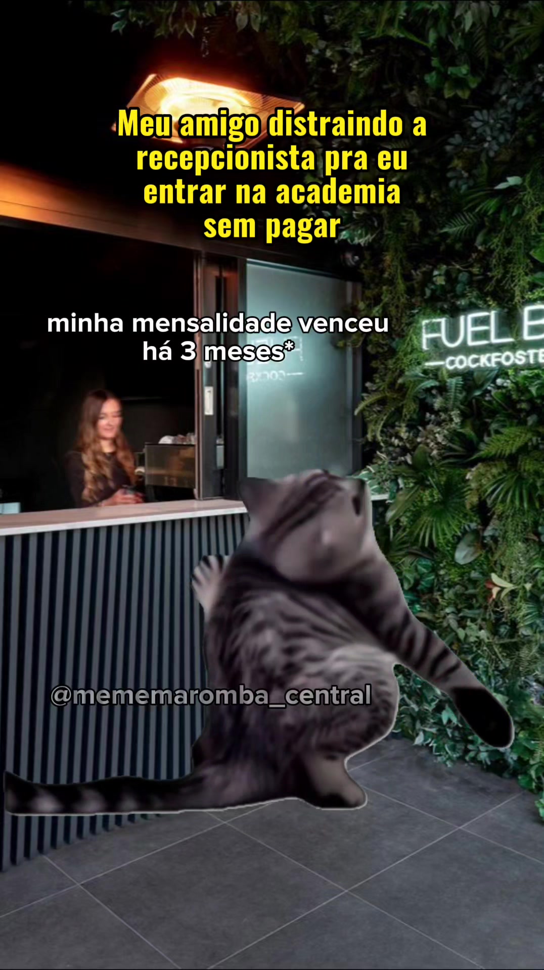 @MMC - Meme Maromba Central