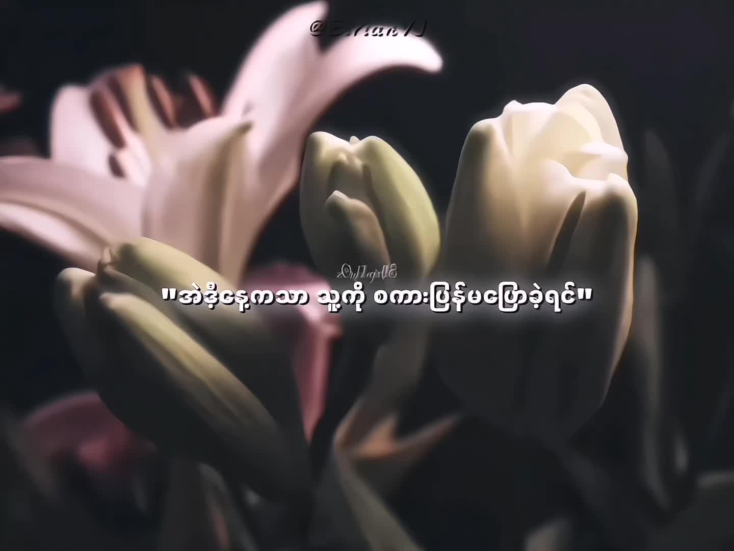 @𝐄𝐢𝐫𝐢𝐚𝐧 𝐕𝐉