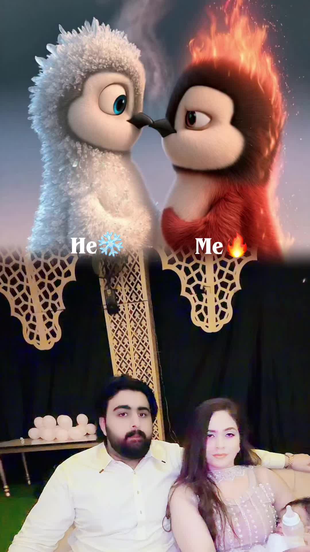 @Hooria Khan 🕊