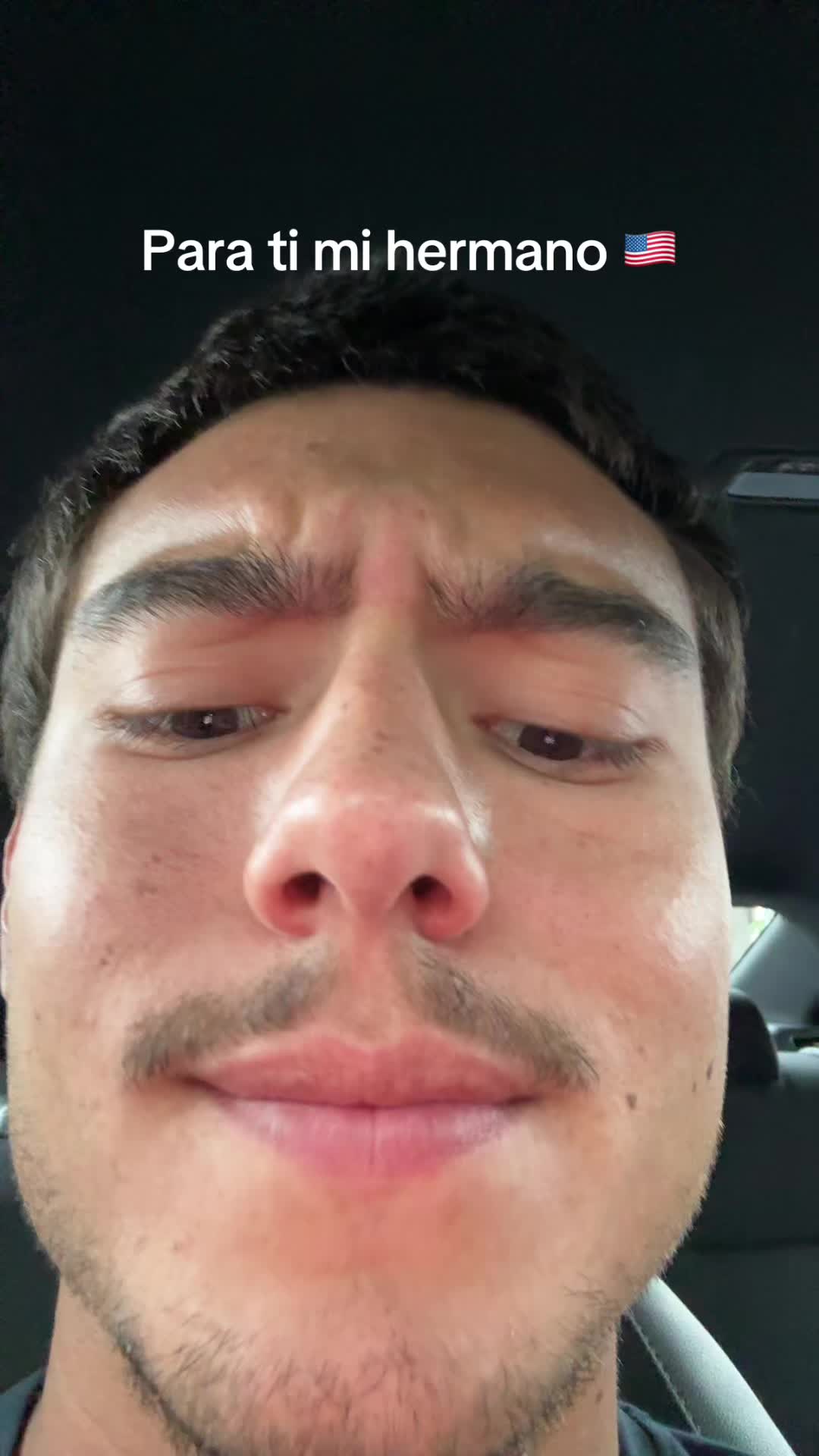 @mendiolaenusa