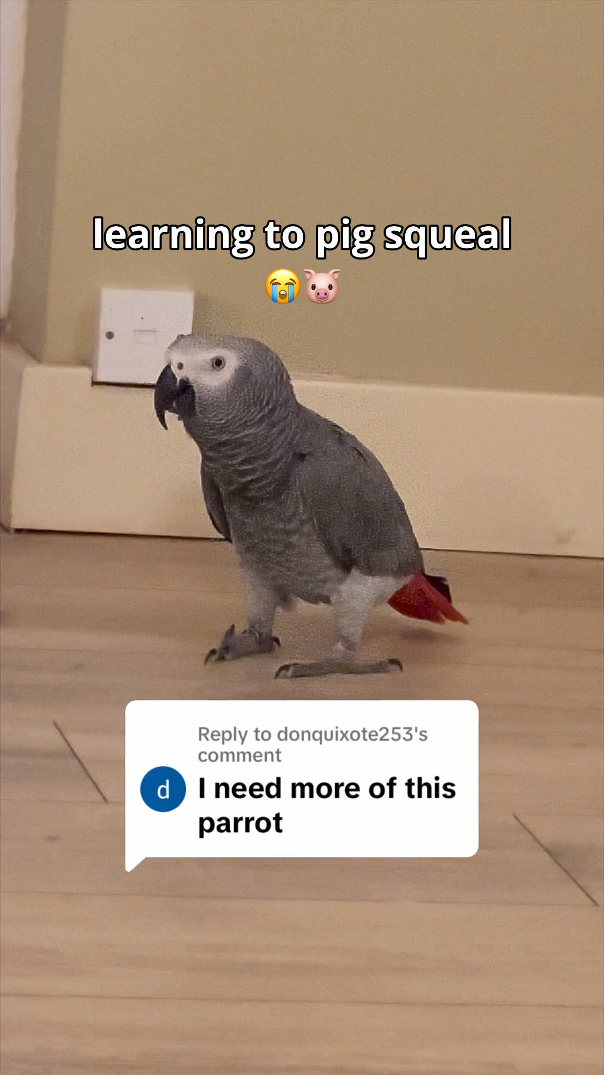 @REEBZ