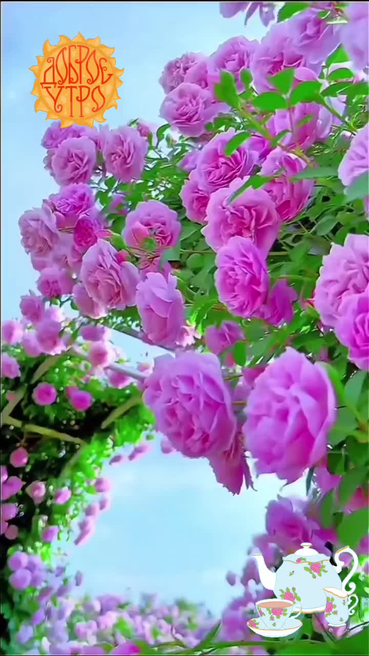 @Татьяна