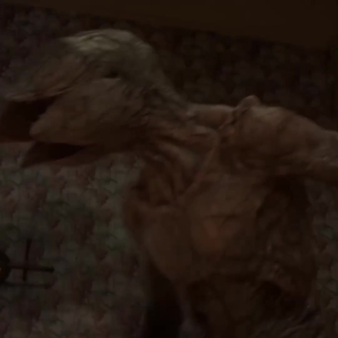 @𝐒𝐀𝐍𝐃𝐑𝐎