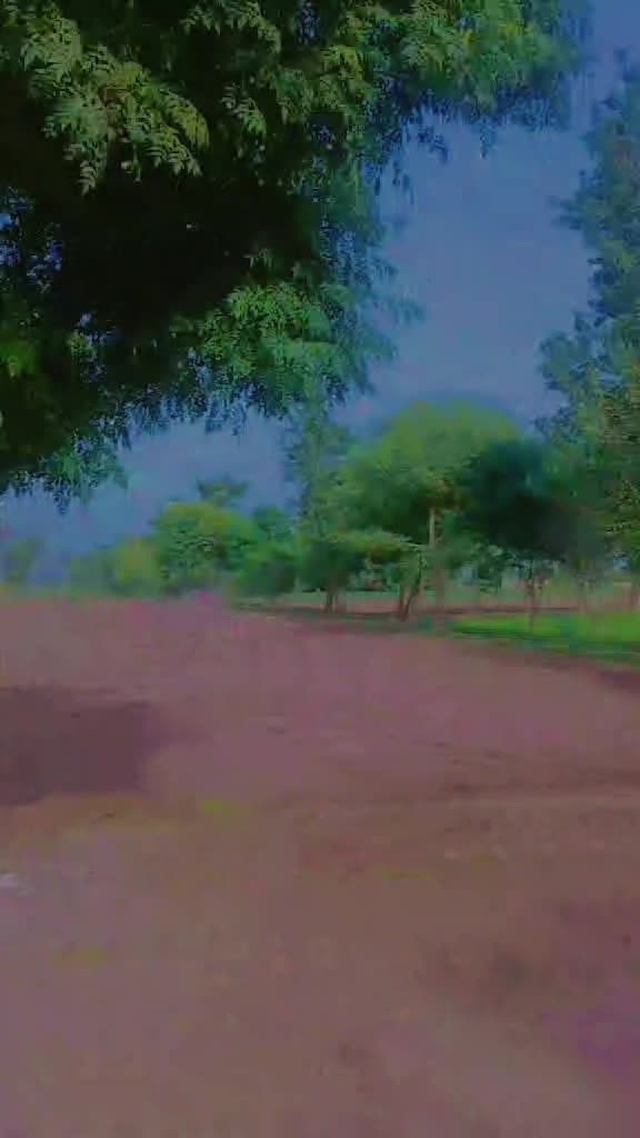 @Dr Hamza VA Kabirwala