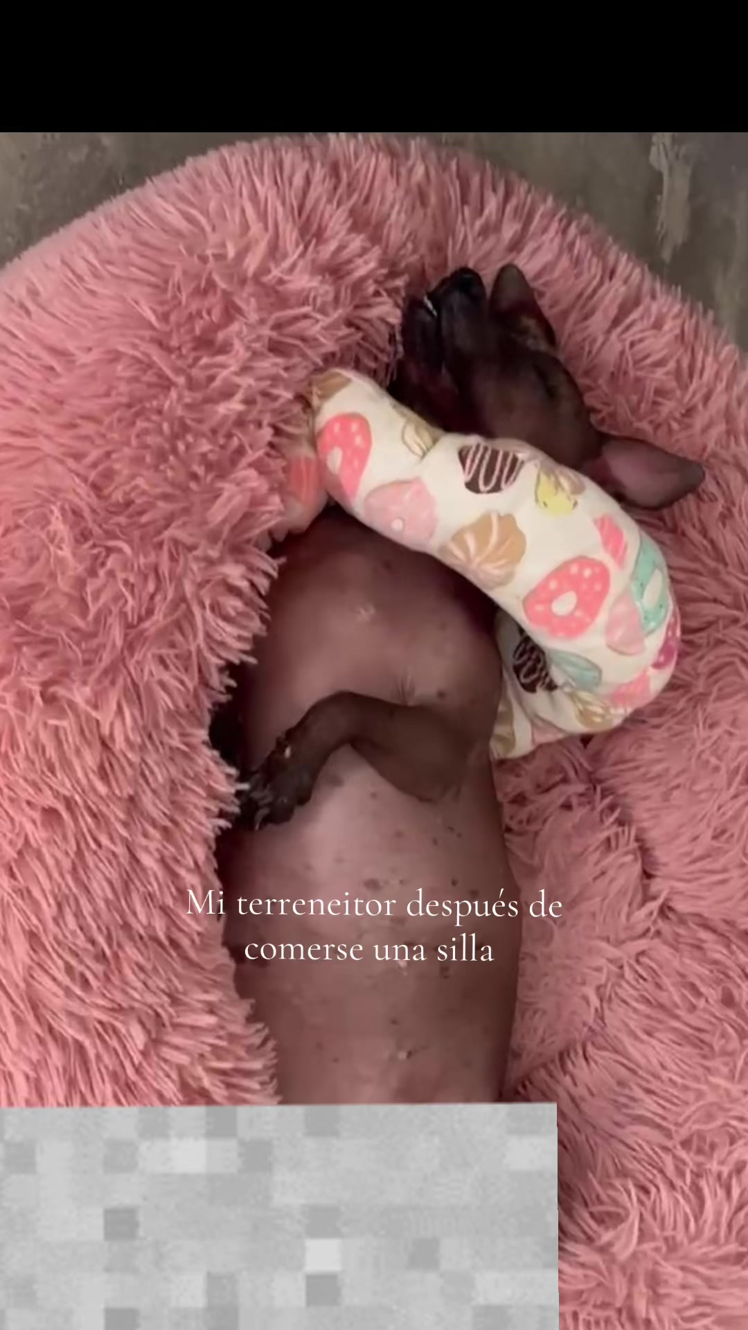 @Lilo
