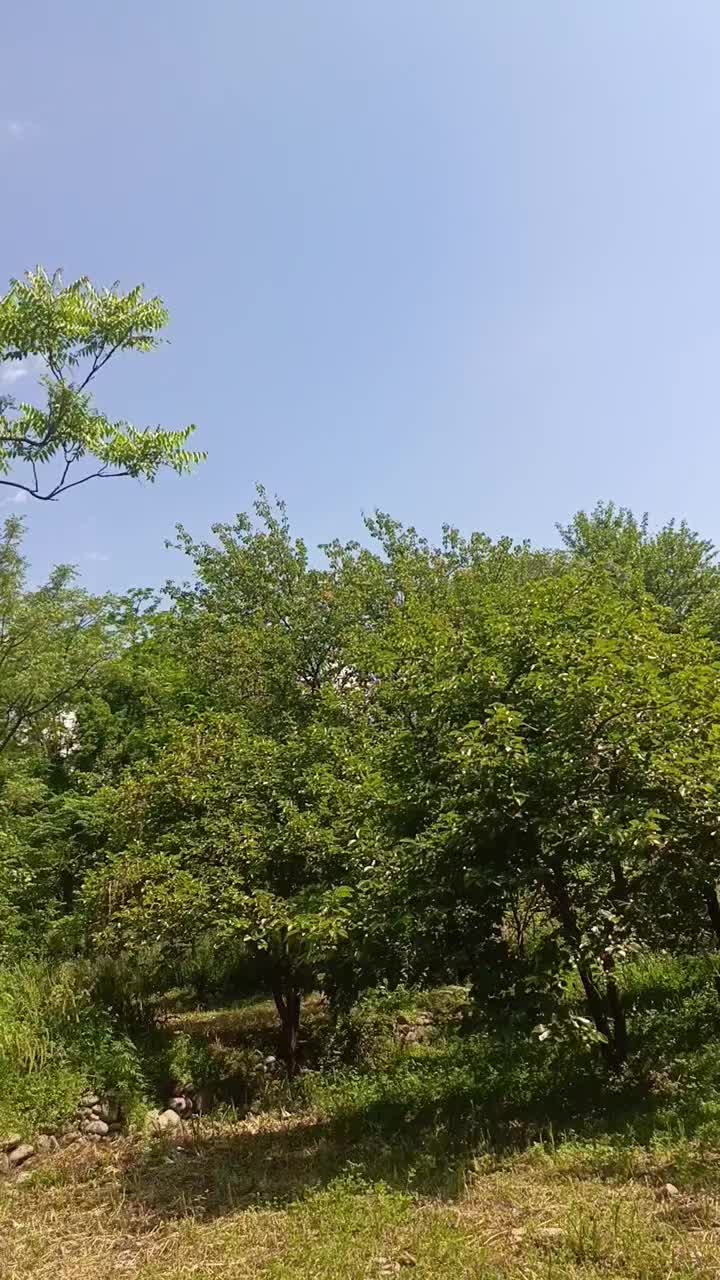 @AKhondi