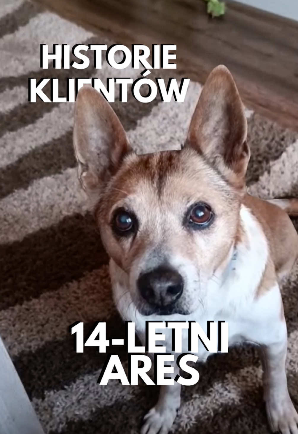 @Oliwia Kita