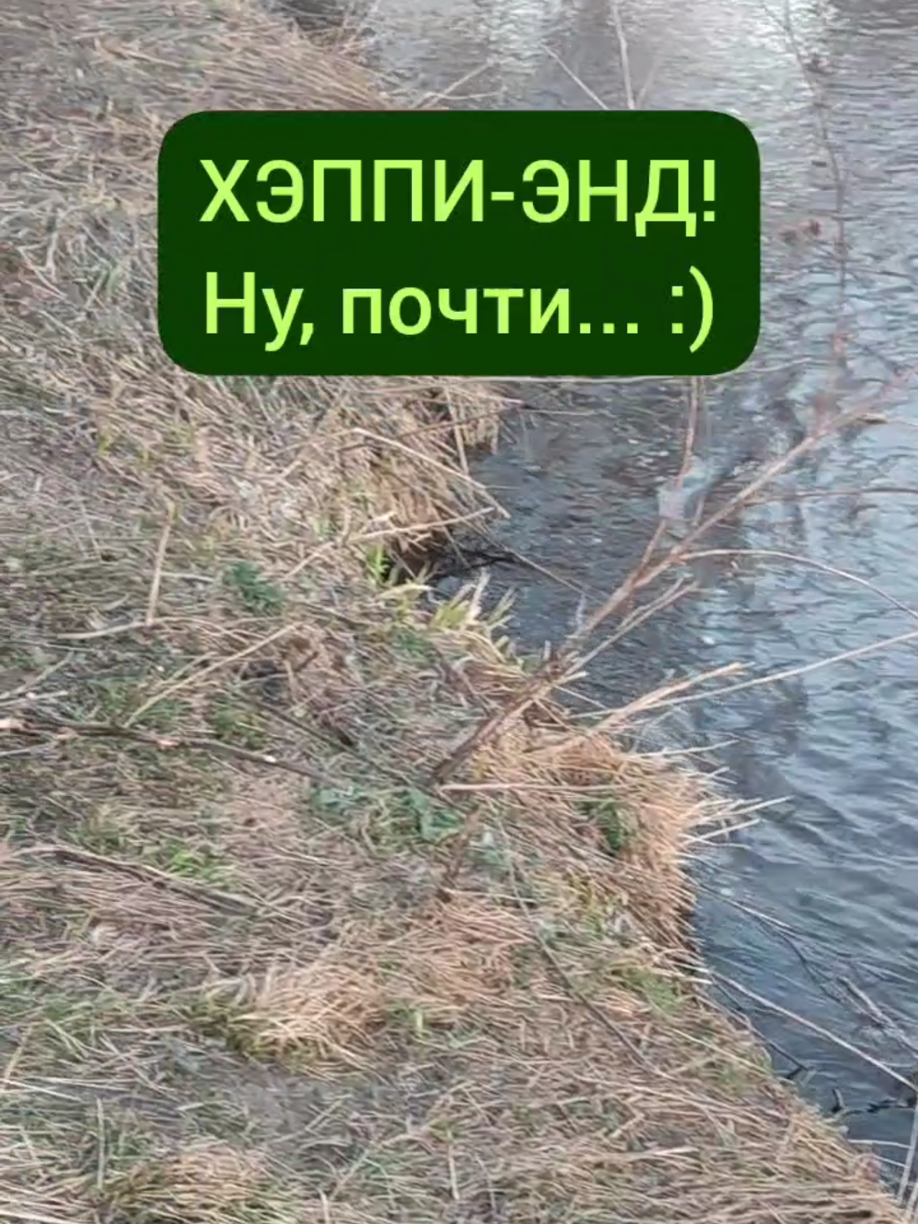 @Мария Попова