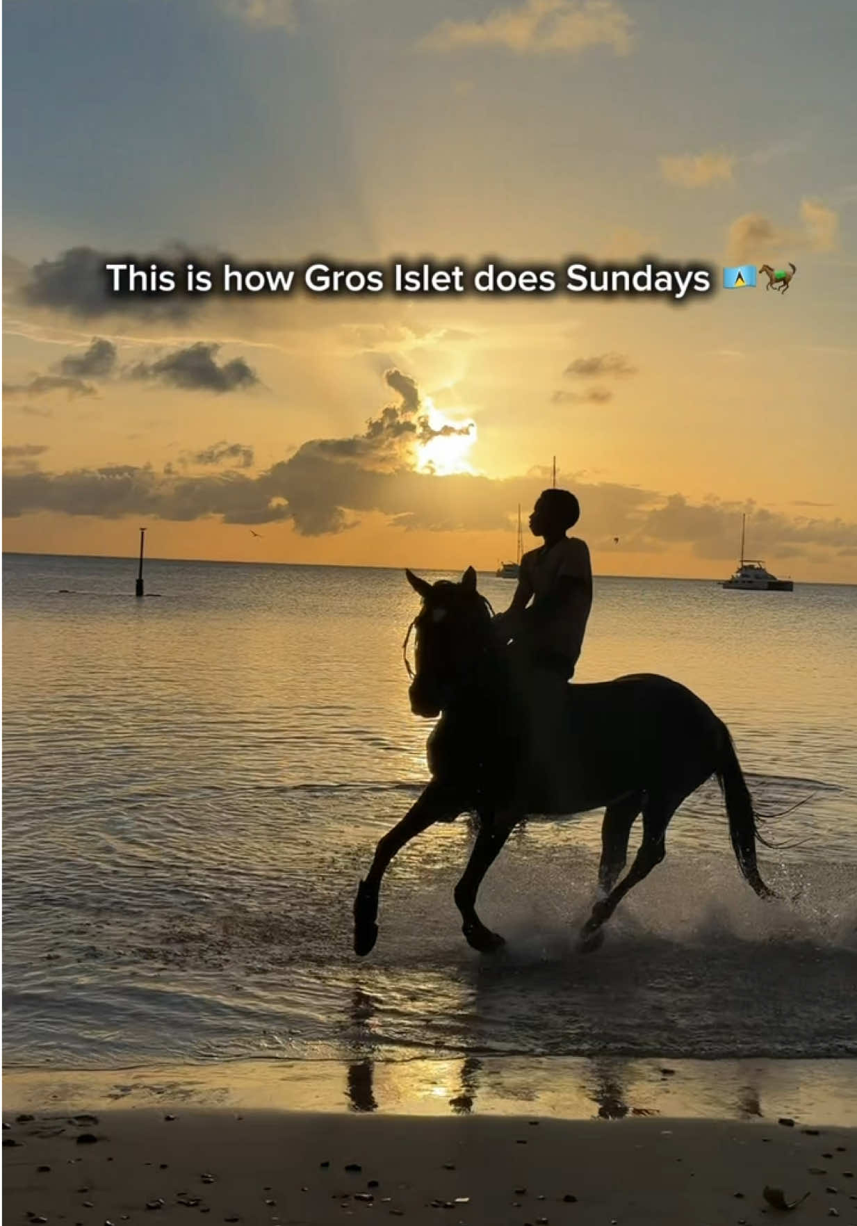 @roots_riding_stables