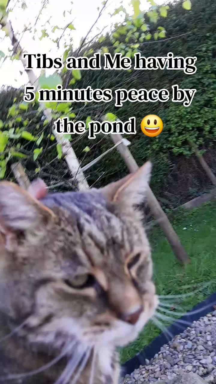 @Katt