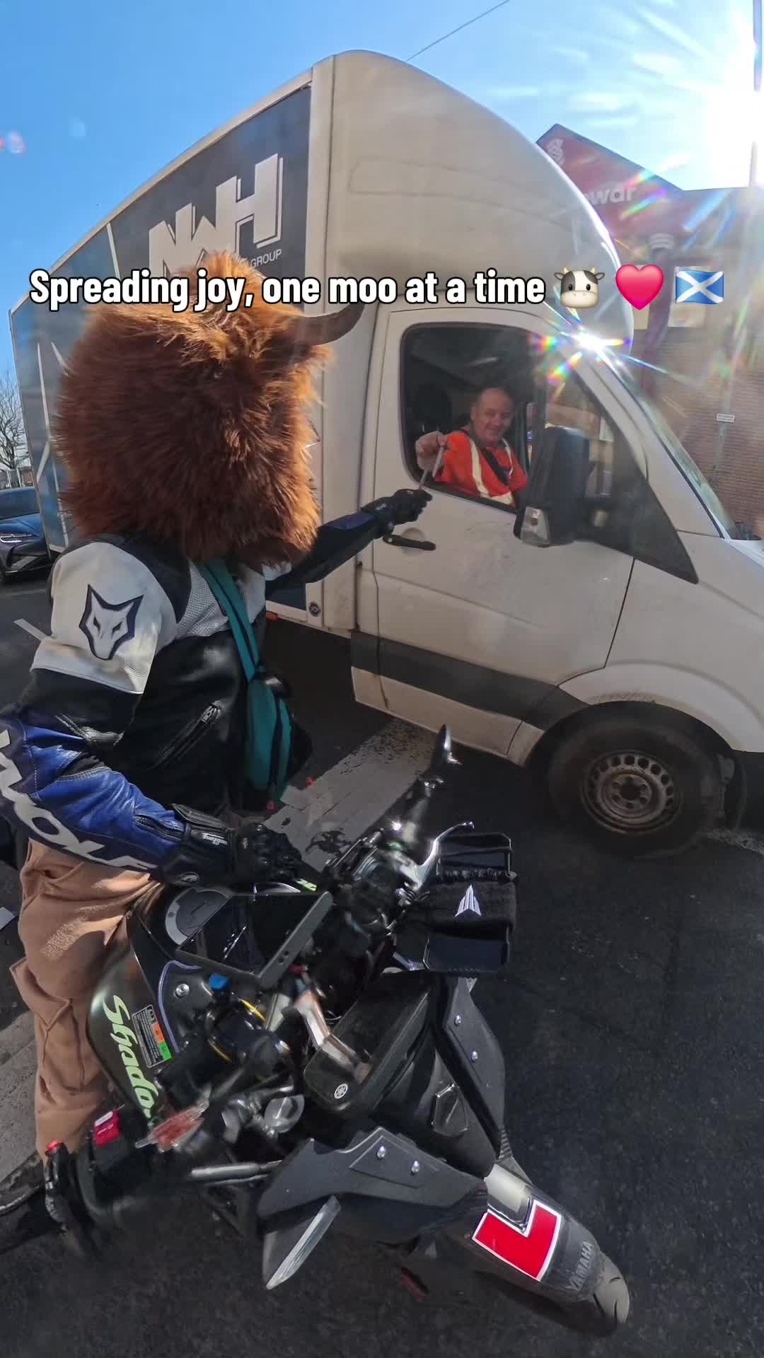 @Highland Cow Rider 🐮🏍