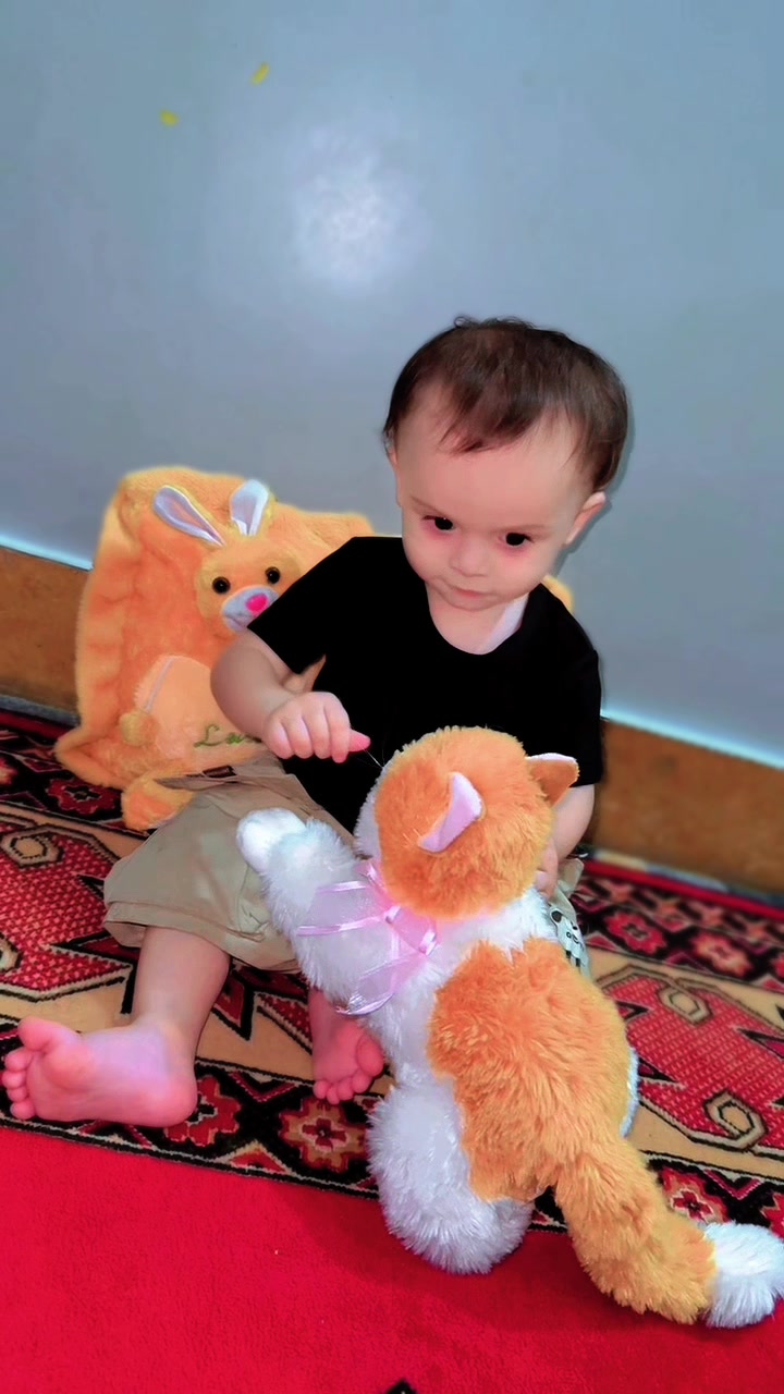 @RUHAN ZAIB