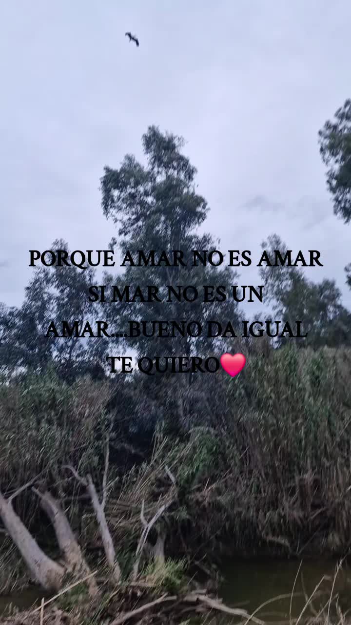 @quenomirees