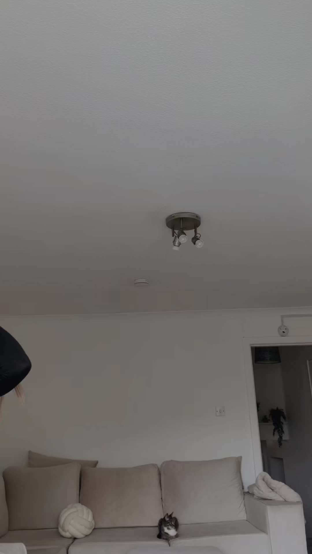 @Demipie🌶️