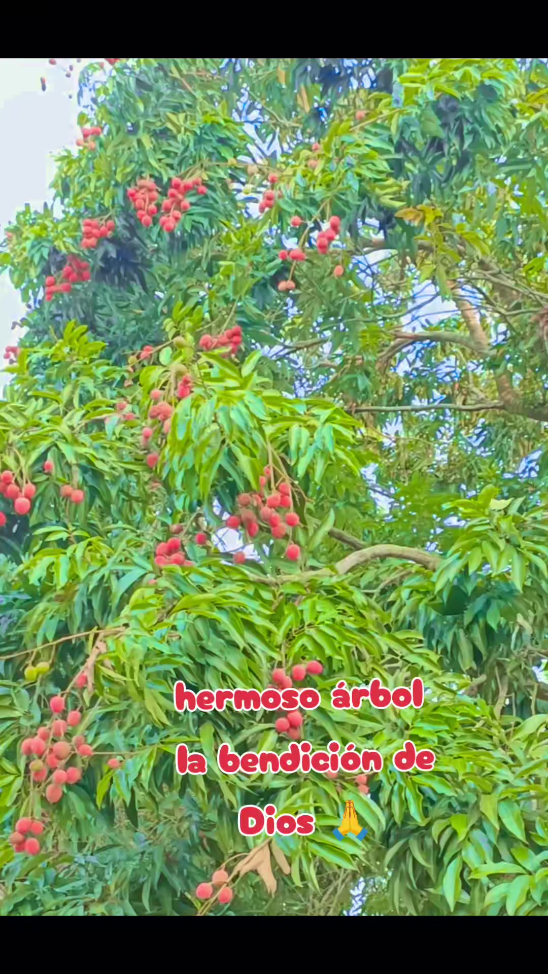 @𝙈𝙚𝙧𝙮 _4010
