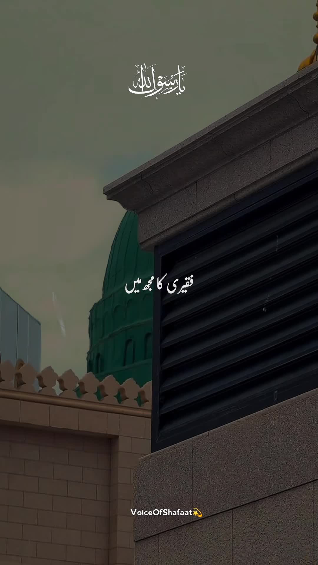 @VoiceOfShafaat💫